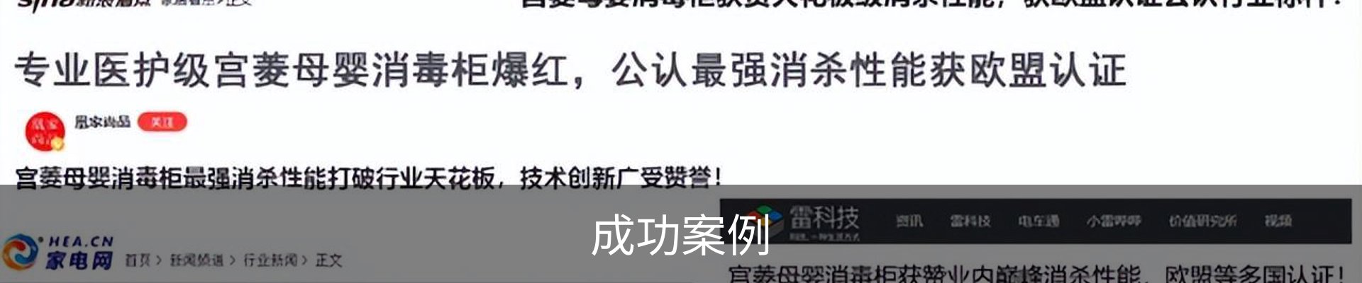 成功案例